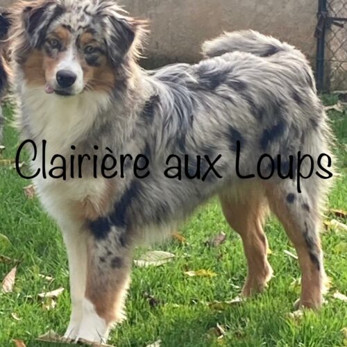 WhatsApp Image 2024-04-26 à 21.24.40_9187ee3e