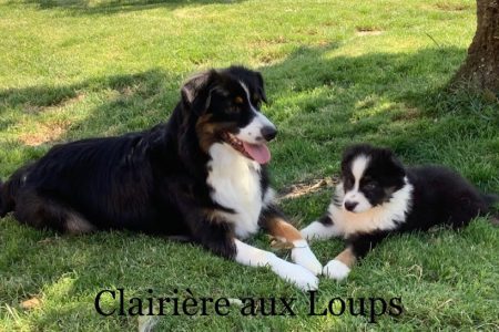 0a91462f-9abb-a854-5996-563826d25ec5_min