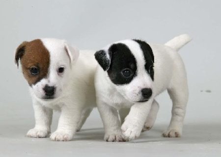 2d1ff1e6-c7c5-07f4-bd6d-08d1529a294c