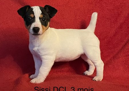 3e6e8c08-739a-46c4-59d8-334e49a933fb_min