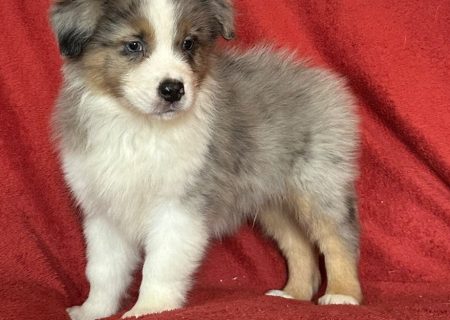 6a45edee-482a-c074-2534-9b8ba7a3d1da_min