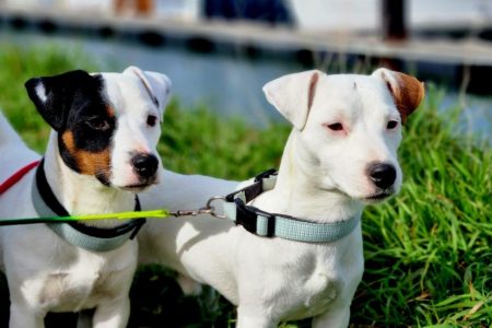 a3f0af42-c2b7-ffa4-e5c4-46ae0f198e41_min