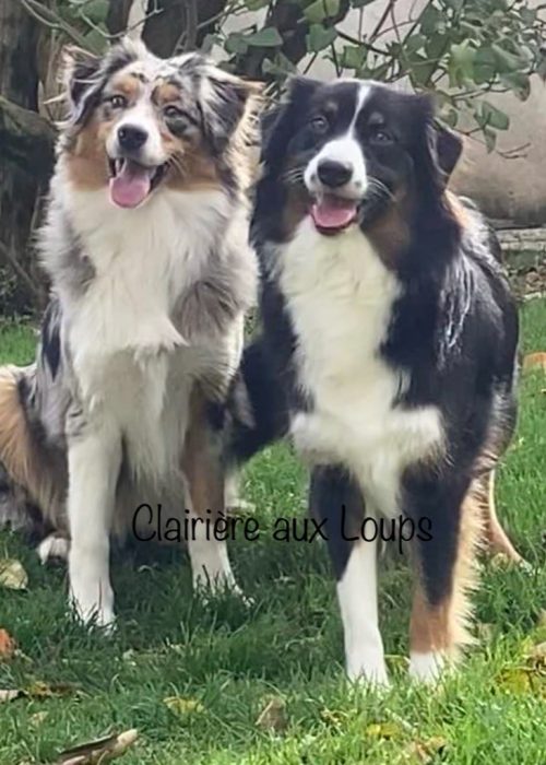 e15562b4-2e0b-80c4-d96f-229b5fe5e602_min